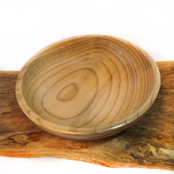 magnolia-ciotola