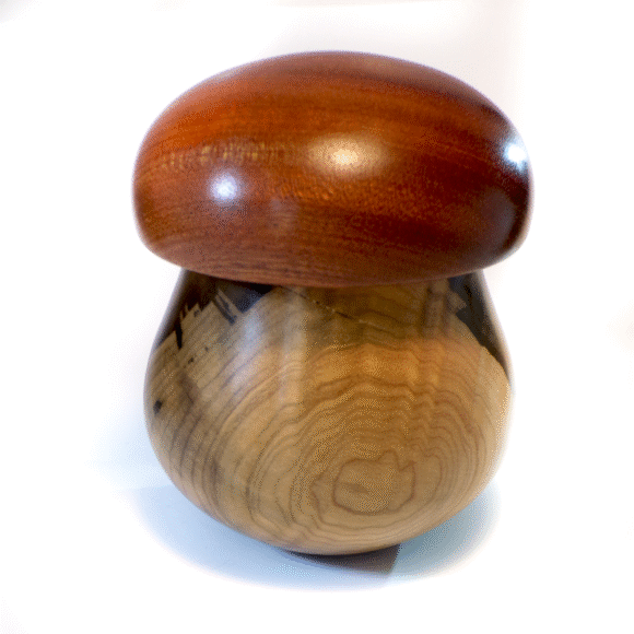 FUNGO XXL - Wooden Jar in Mogano e Magnolia - immagine 3