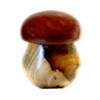 FUNGO XXL - Wooden Jar in Mogano e Magnolia