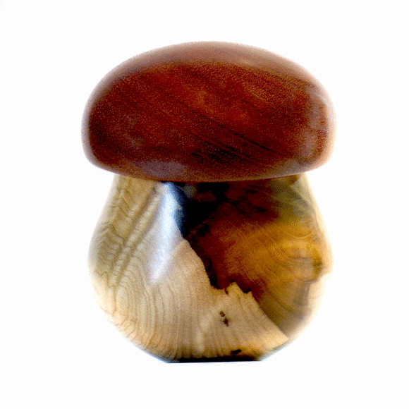 FUNGO XXL - Wooden Jar in Mogano e Magnolia